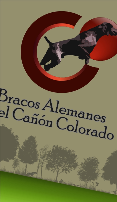 Logotipo e Isotipo Del Cañón Colorado